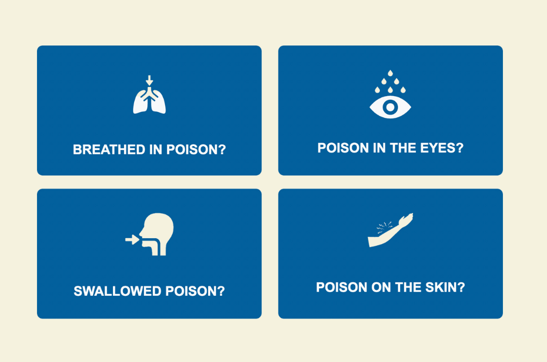 Steps to take when someone swallowed a poison